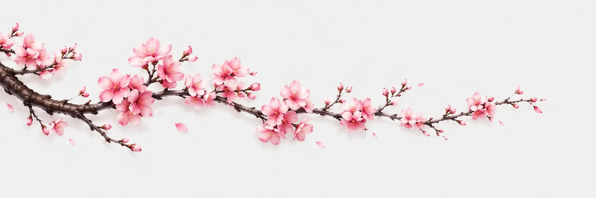 Sushi καζινο banner with cherry blossoms 